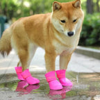 Pawsafe - Waterproof Dog Boots
