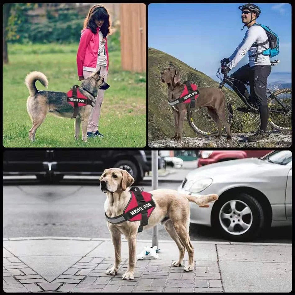PawsFit - No Pull Dog Harness