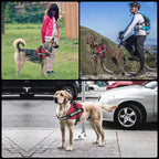 PawsFit - No Pull Dog Harness