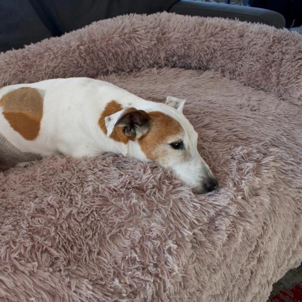 PawShield - Calming Dog Couch Cover