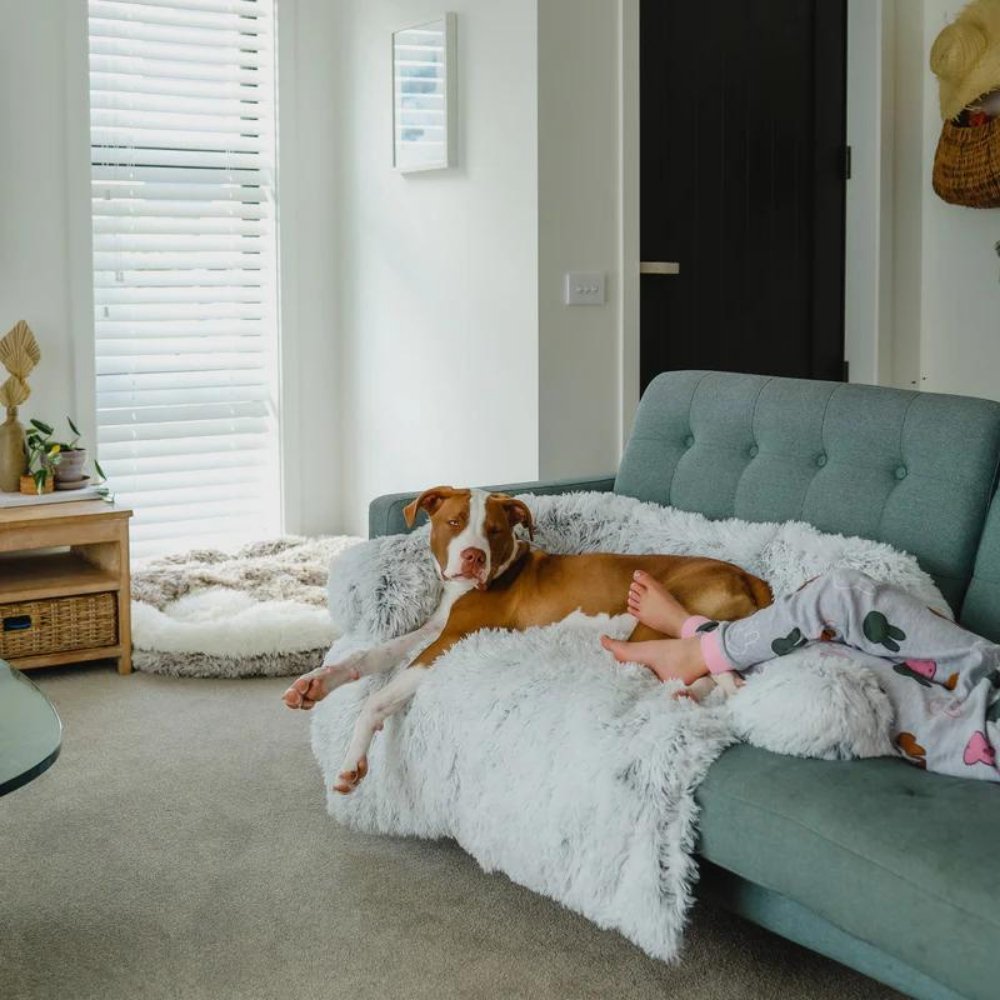 PawShield - Calming Dog Couch Cover