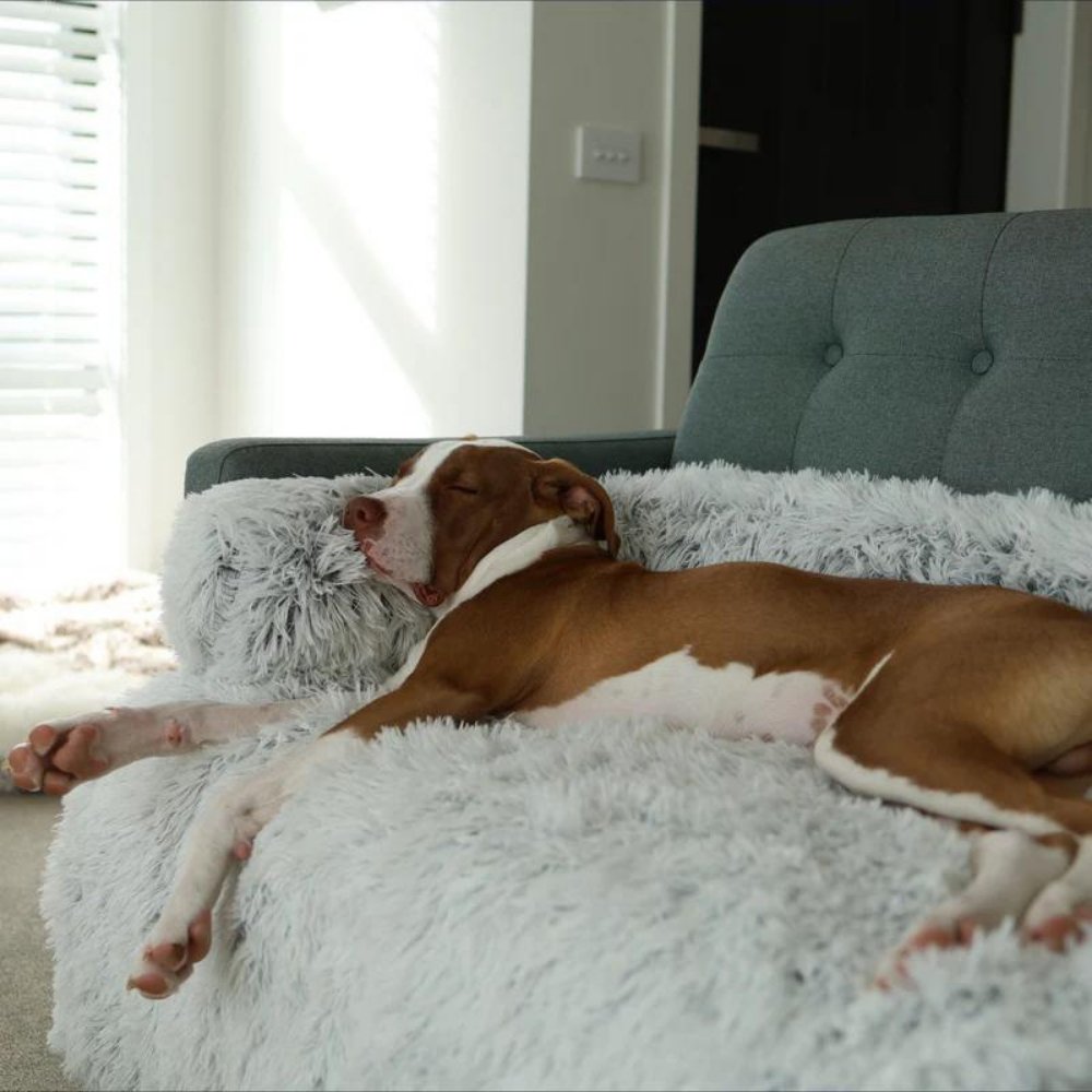 PawShield - Calming Dog Couch Cover
