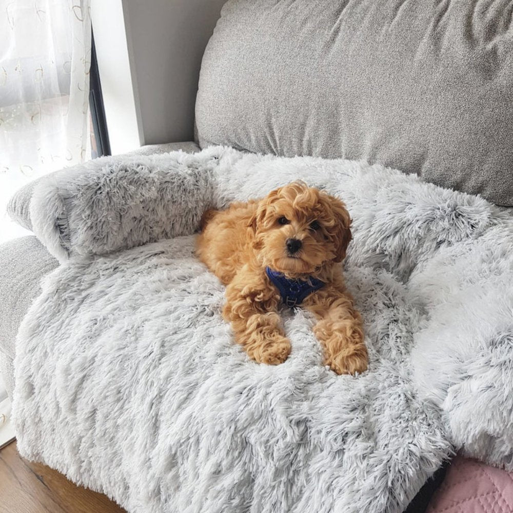 PawShield - Calming Dog Couch Cover