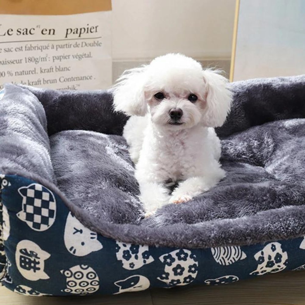 Pawsome Comfort - Plush & Durable Sleeping Spot