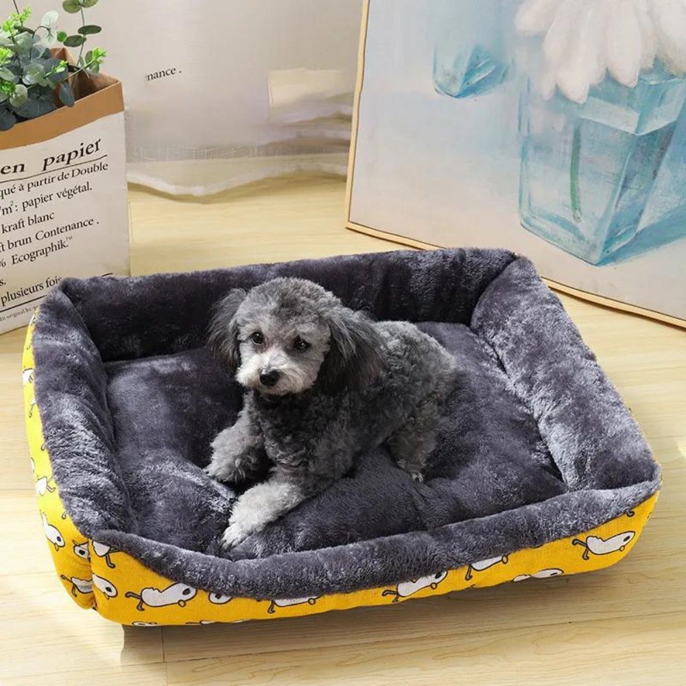 Pawsome Comfort - Plush & Durable Sleeping Spot