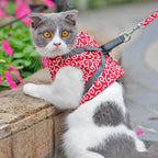 PAWVENTURE HARNESS – Cat Harness Vest Set with Breathable Mesh & Leash