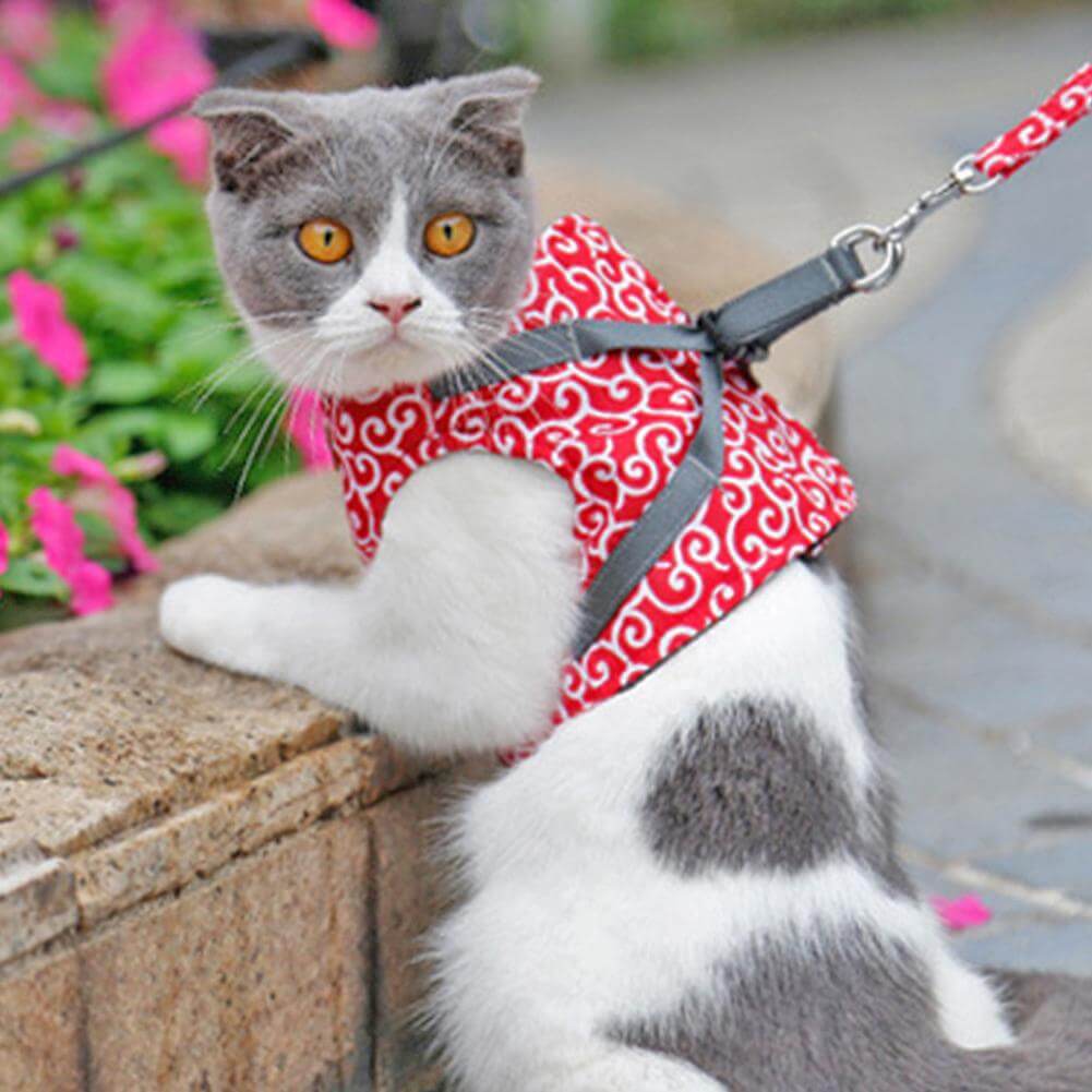 PAWVENTURE HARNESS – Cat Harness Vest Set with Breathable Mesh & Leash