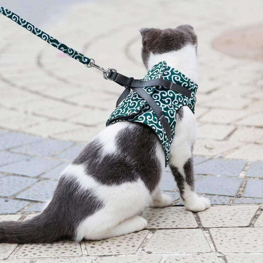 PAWVENTURE HARNESS – Cat Harness Vest Set with Breathable Mesh & Leash