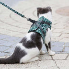 PAWVENTURE HARNESS – Cat Harness Vest Set with Breathable Mesh & Leash