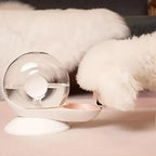 Pet Water Fountain Silent Plastic Bowl Dispenser