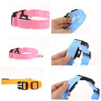 GlowPets LED Collar – Safety & Visibility for Pets