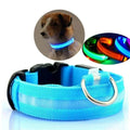 GlowPets LED Collar – Safety & Visibility for Pets