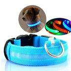 GlowPets LED Collar – Safety & Visibility for Pets