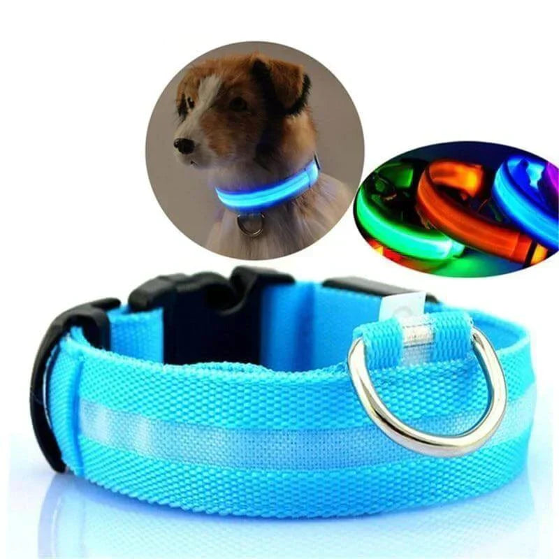 GlowPets LED Collar – Safety & Visibility for Pets