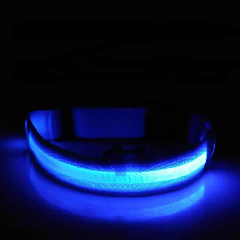 GlowPets LED Collar – Safety & Visibility for Pets