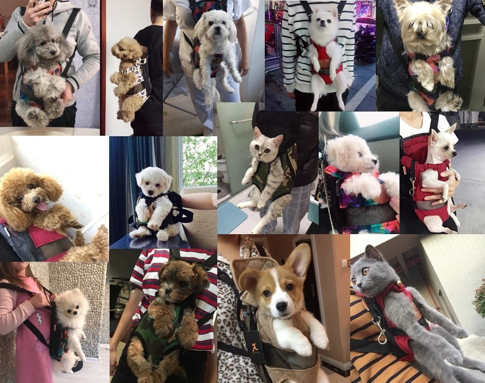 TravelBuddy Carrier – Luxury Pet Travel Bag with Comfort