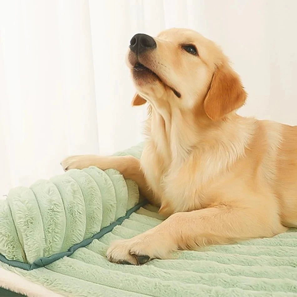 PetCloud - Double Sided Dog Bed