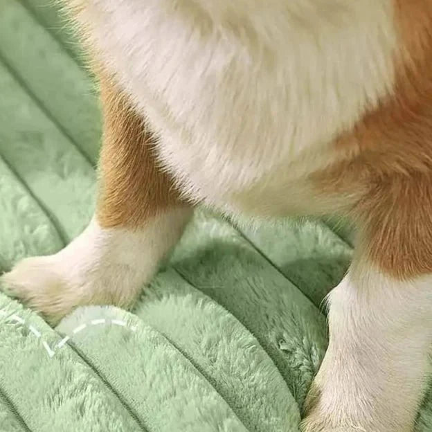PetCloud - Double Sided Dog Bed