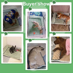 PetCloud - Double Sided Dog Bed
