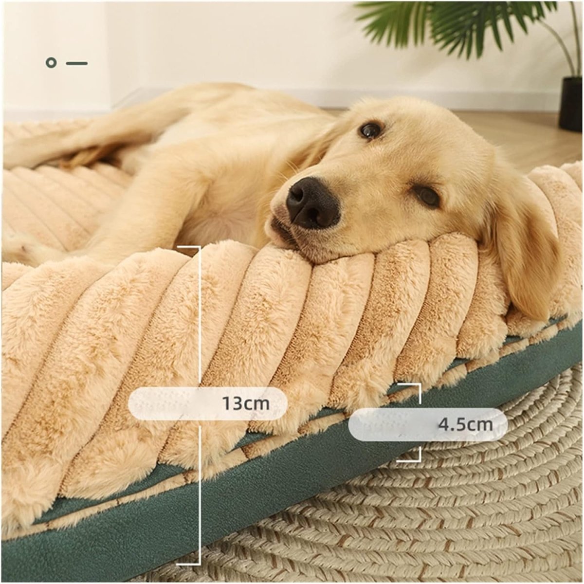 PetCloud - Double Sided Dog Bed