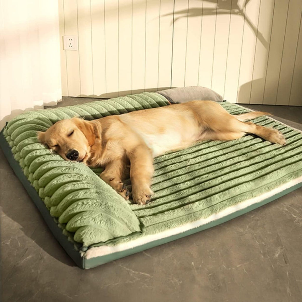 PetCloud - Double Sided Dog Bed