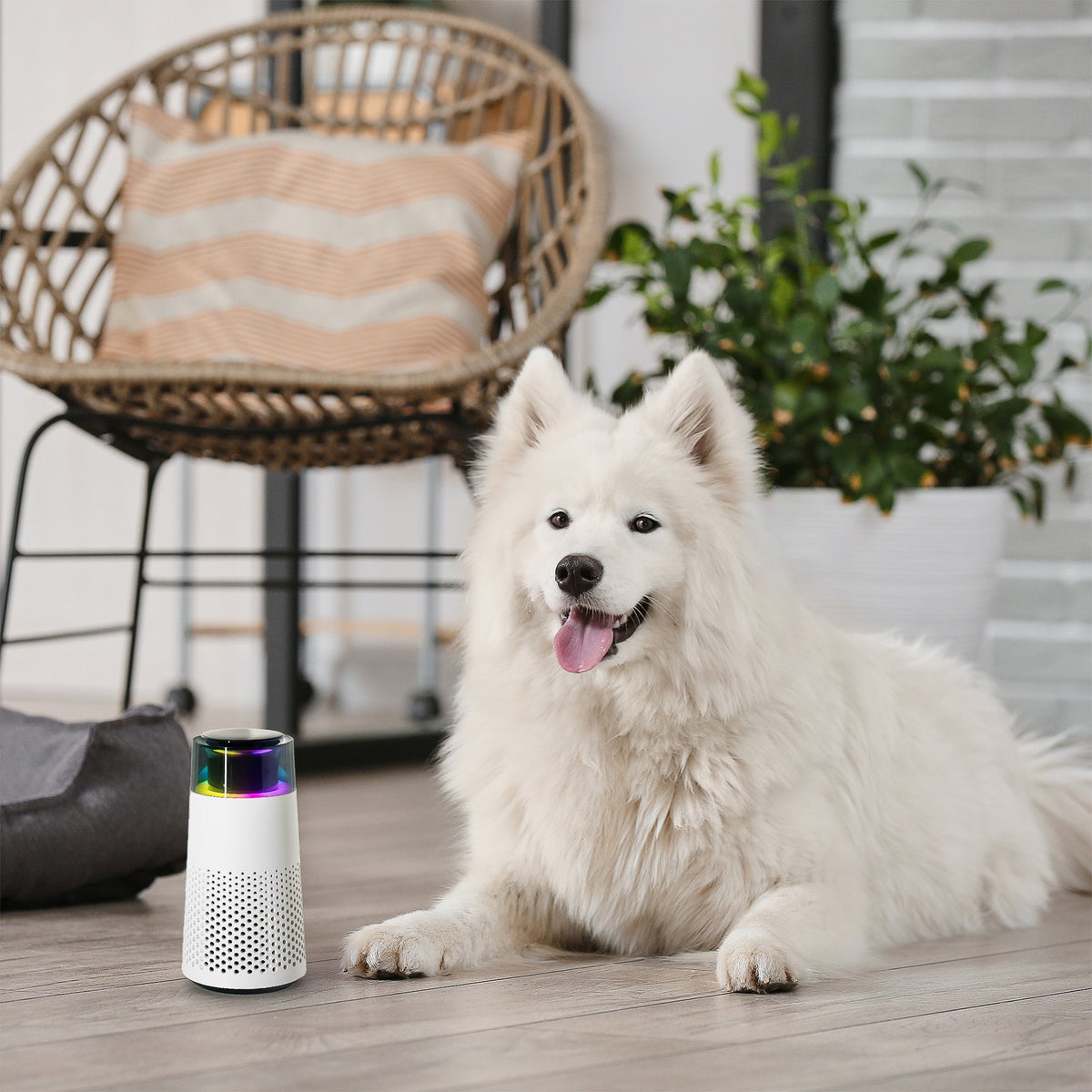 PetFresh Animal Scent Humidifier