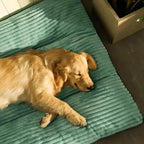 PetHeaven - Oversized Corduroy Bed