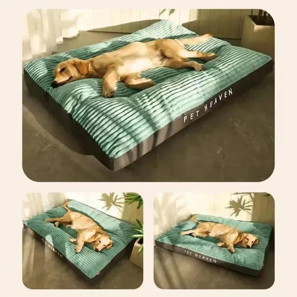 PetHeaven - Oversized Corduroy Bed