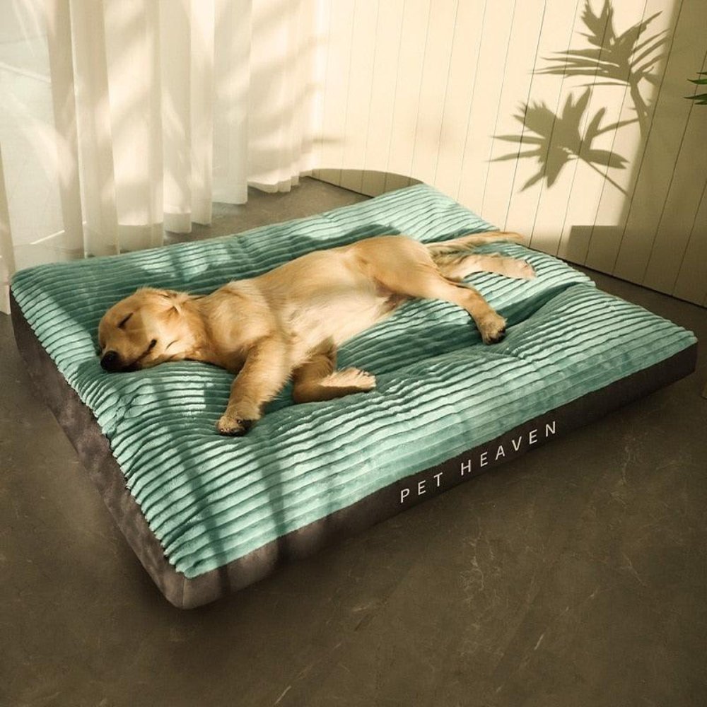 PetHeaven - Oversized Corduroy Bed