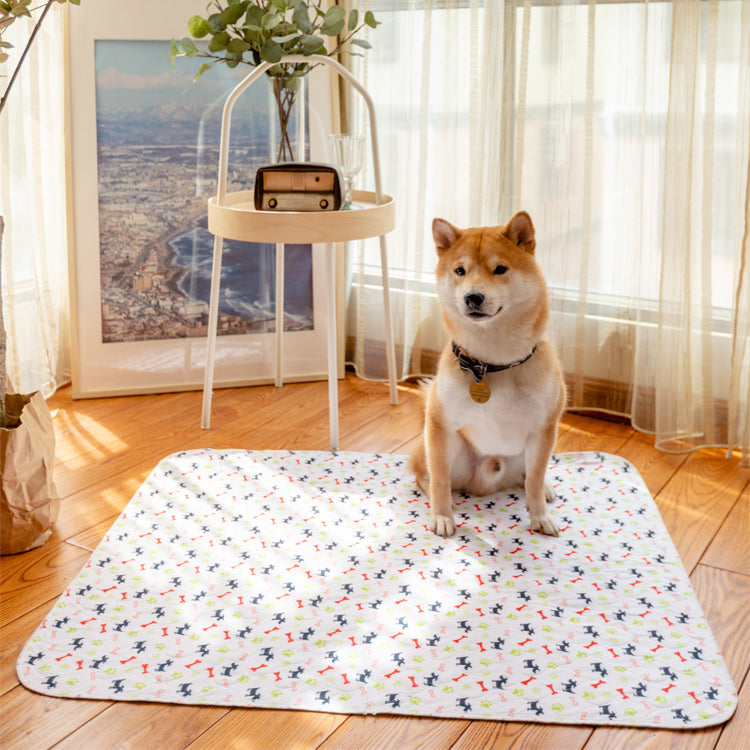PetPaws Comfort Mat – Leak-Free Pet Mat