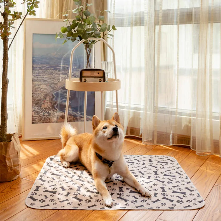 PetPaws Comfort Mat – Leak-Free Pet Mat