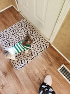 PetPaws Comfort Mat – Leak-Free Pet Mat