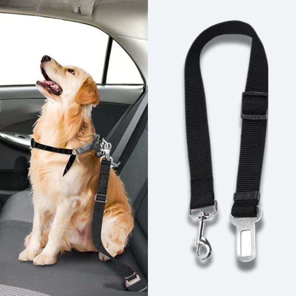 PetSecure - Dog Seat Belt