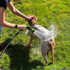 PetWash 360° – High-Pressure Dog Bath Spray with 3 Modes & Water Control