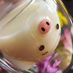 Piggy Glass - Heat-resistant Glass