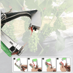 Plant Support Tool Set – Easy Plant Tying System for Climbing Plants, Flowers & Vegetables