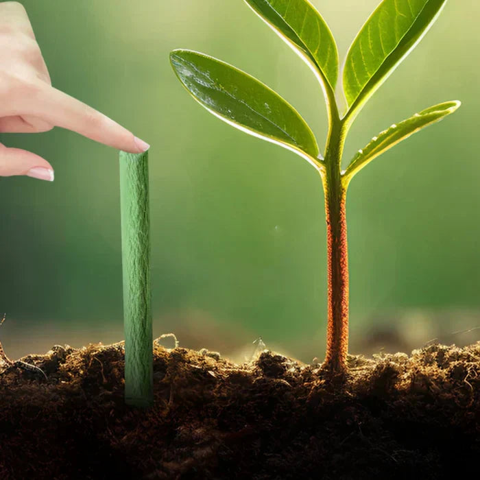Long-lasting Fertilizer for Easy and Sustainable Plant Care
