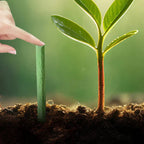 Long-lasting Fertilizer for Easy and Sustainable Plant Care