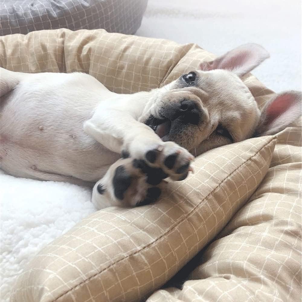 PlushPaw - Round Dog Sleeping Bed