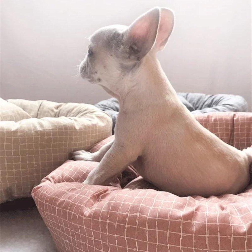 PlushPaw - Round Dog Sleeping Bed