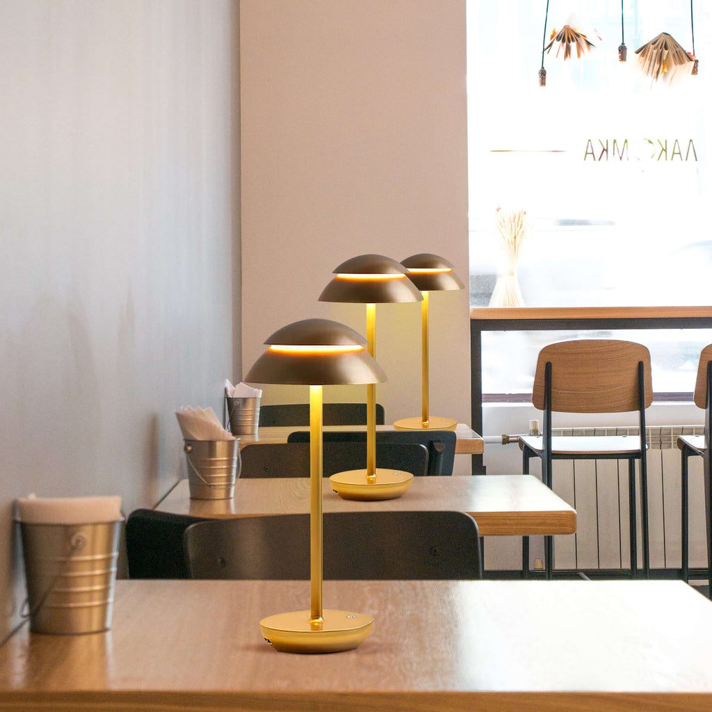 Table Lamp with Touch Control and LED Light