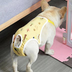 Post-Surgery - Dog Recovery Suit