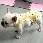 Post-Surgery - Dog Recovery Suit