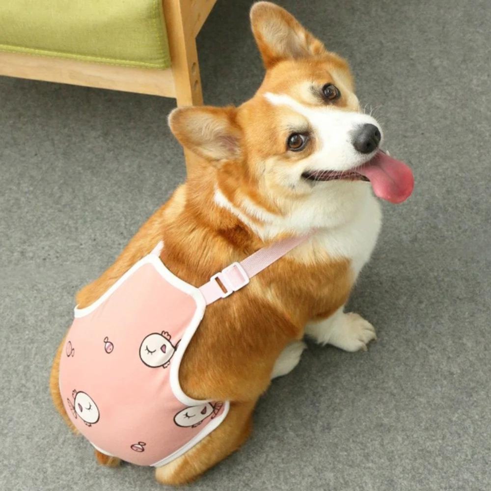 Post-Surgery - Dog Recovery Suit