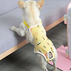 Post-Surgery - Dog Recovery Suit