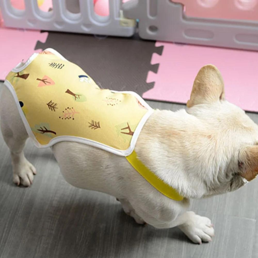 Post-Surgery - Dog Recovery Suit