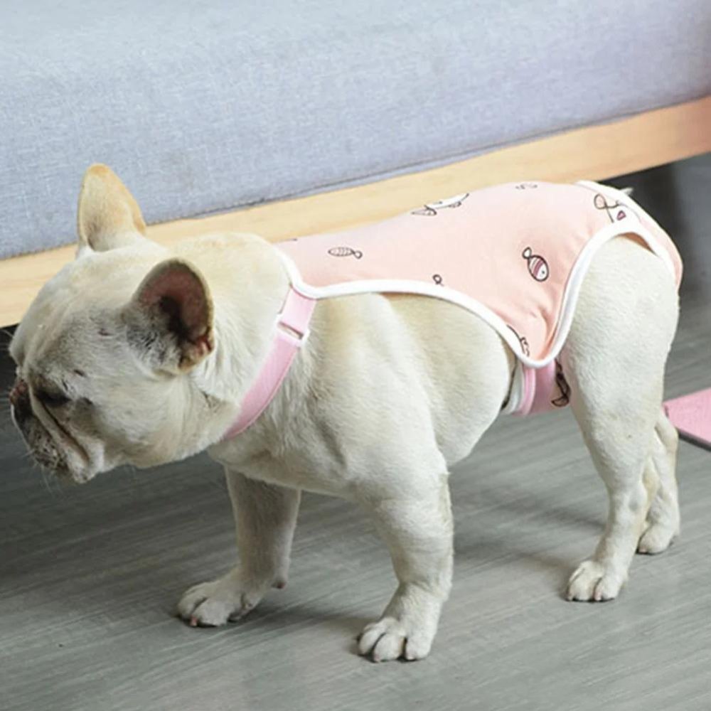Post-Surgery - Dog Recovery Suit
