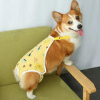 Post-Surgery - Dog Recovery Suit