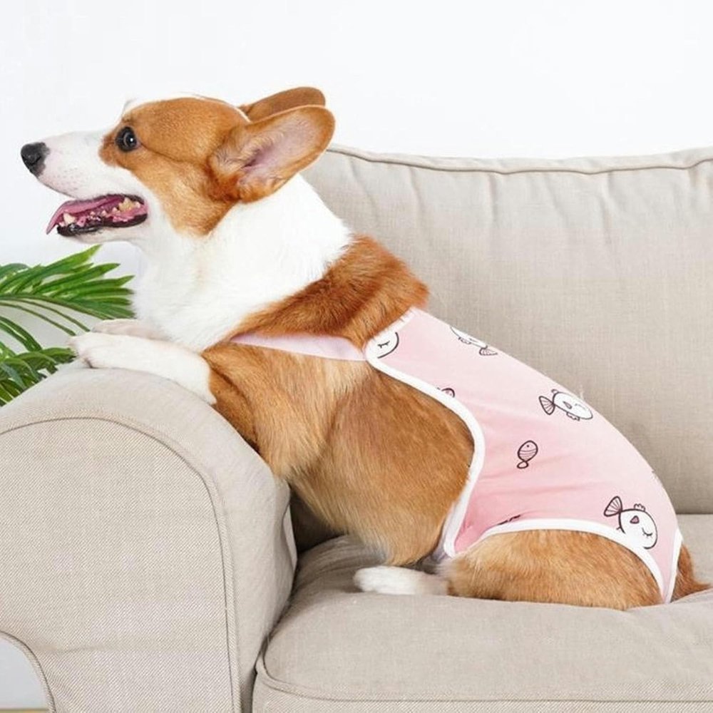 Post-Surgery - Dog Recovery Suit