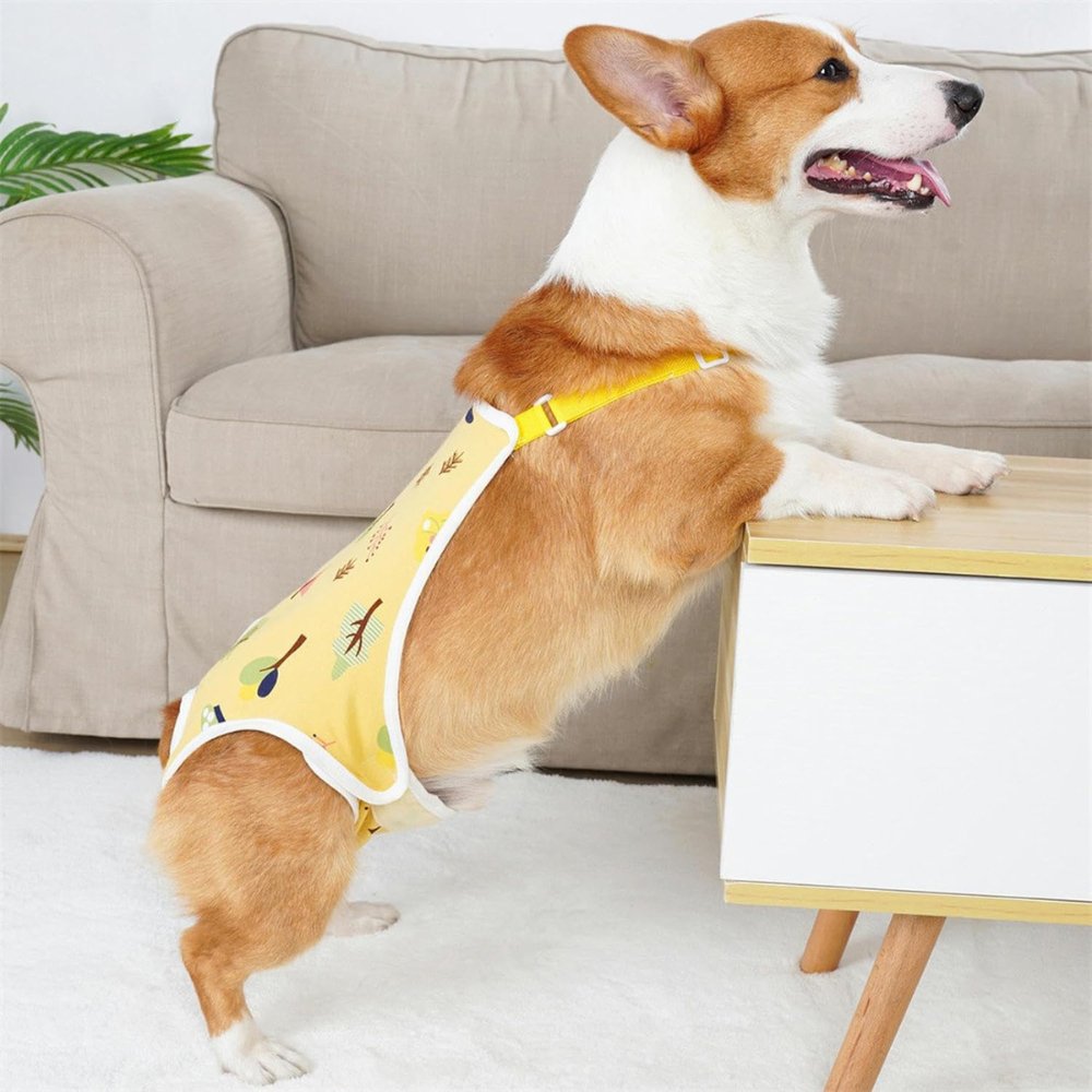 Post-Surgery - Dog Recovery Suit